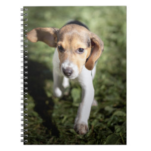 Cutest Baby Animals Beagle Puppy Notebook