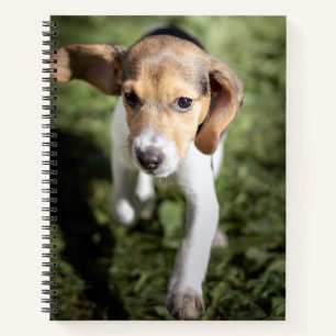Cutest Baby Animals Beagle Puppy Notebook