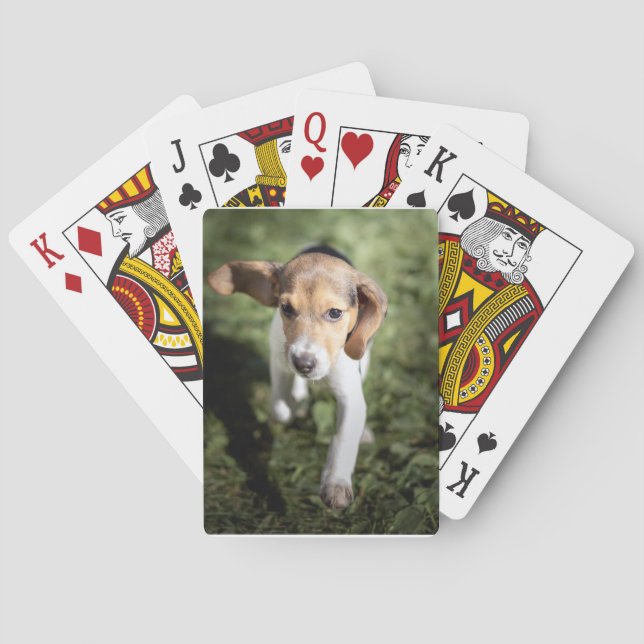Cutest Baby Animals | Beagle Puppy Playing Cards (Back)