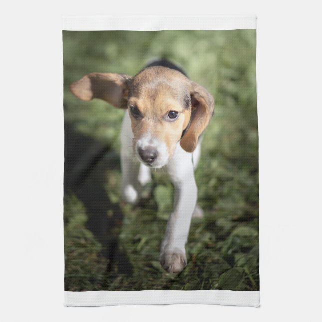 Cutest Baby Animals | Beagle Puppy Tea Towel (Vertical)