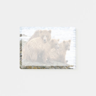Cutest Baby Animals   Bear & Cubs Post-it Notes