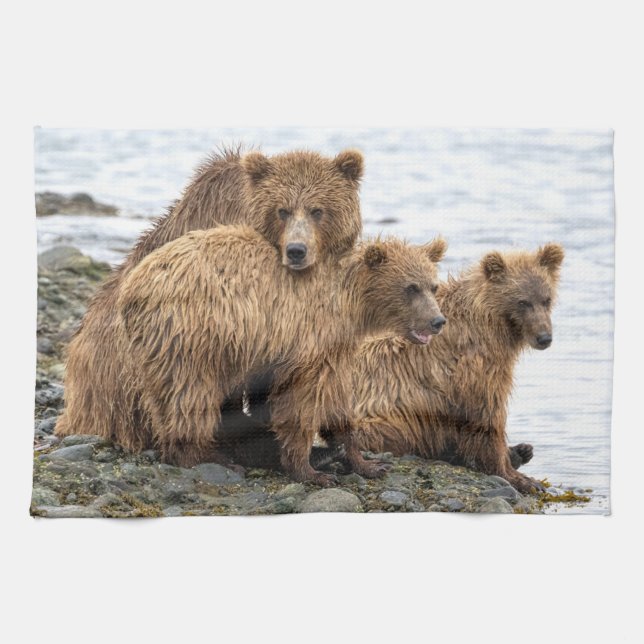 Cutest Baby Animals | Bear & Cubs Tea Towel (Horizontal)