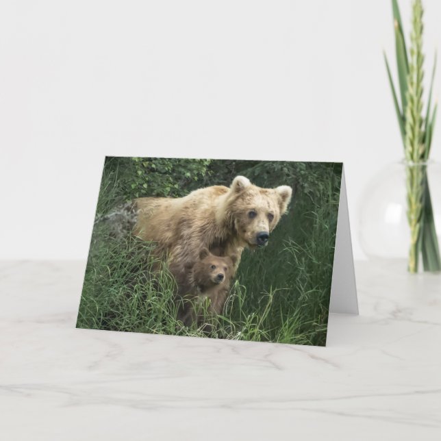 Cutest Baby Animals | Bear Mama Bear & Her Cubs Card (Front)