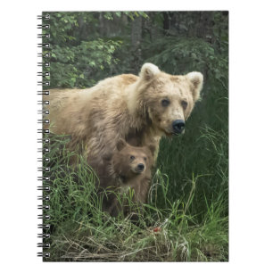 Cutest Baby Animals Bear Mama Bear & Her Cubs Notebook