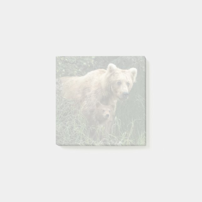 Cutest Baby Animals | Bear Mama Bear & Her Cubs Post-it Notes (Front)