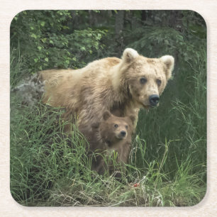 Cutest Baby Animals   Bear Mama Bear & Her Cubs Square Paper Coaster