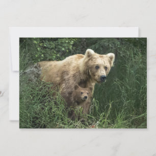 Cutest Baby Animals   Bear Mama Bear & Her Cubs Thank You Card