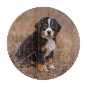 Cutest Baby Animals   Bernese Mountain Dog Cutting Board