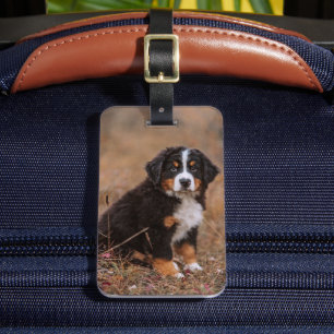 Cutest Baby Animals Bernese Mountain Dog Luggage Tag
