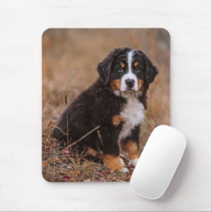 Cutest Baby Animals Bernese Mountain Dog Mouse Pad