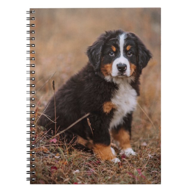 Cutest Baby Animals | Bernese Mountain Dog Notebook (Front)