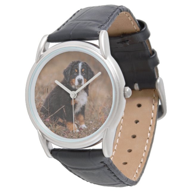 Cutest Baby Animals | Bernese Mountain Dog Watch (Angled)