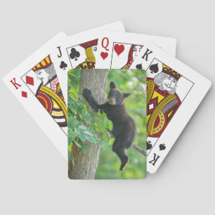 Cutest Baby Animals   Black Bear Cub Playing Cards