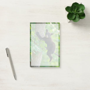 Cutest Baby Animals Black Bear Cub Post-it Notes