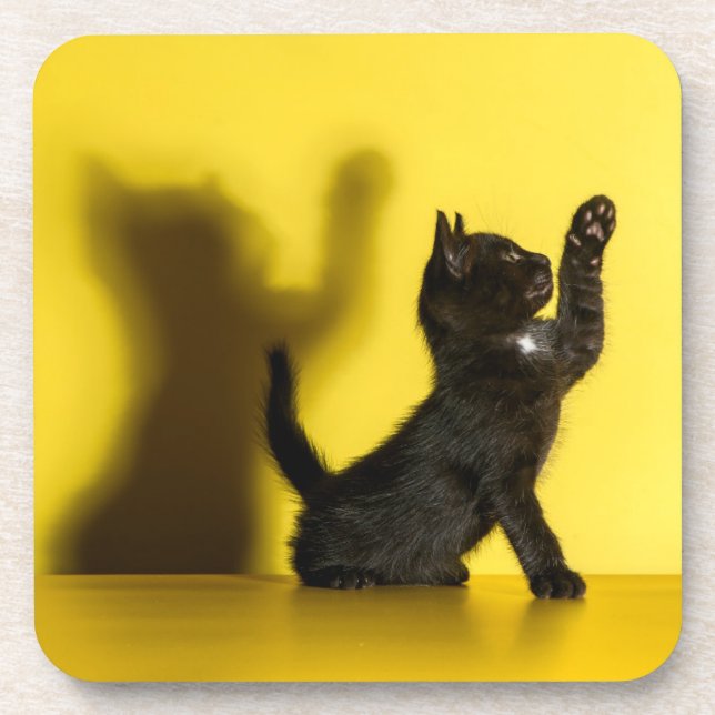 Cutest Baby Animals | Black Cat Playing Coaster (Front)