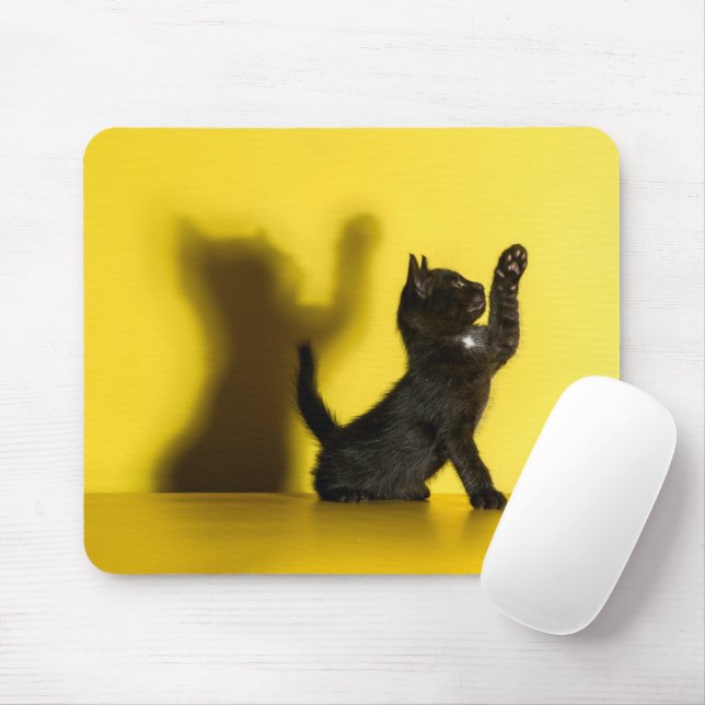 Cutest Baby Animals | Black Cat Playing Mouse Pad (With Mouse)
