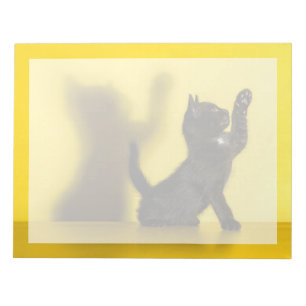 Cutest Baby Animals Black Cat Playing Notepad