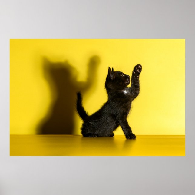 Cutest Baby Animals | Black Cat Playing Poster (Front)