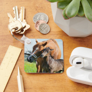 Cutest Baby Animals   Black Foal with Mom Key Ring