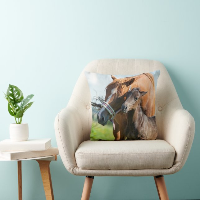 Cutest Baby Animals | Black Foal with Mum Cushion (Chair)
