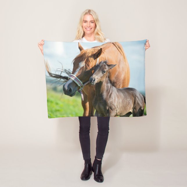Cutest Baby Animals | Black Foal with Mum Fleece Blanket (In Situ)
