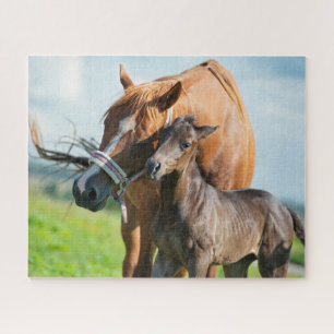Cutest Baby Animals   Black Foal with Mum Jigsaw Puzzle