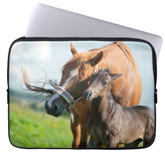 Cutest Baby Animals | Black Foal with Mum Laptop Sleeve (Front)