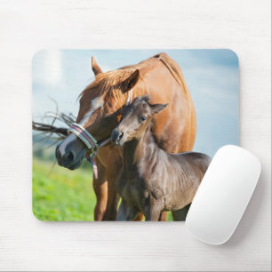 Cutest Baby Animals   Black Foal with Mum Mouse Pad