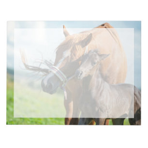 Cutest Baby Animals Black Foal with Mum Notepad