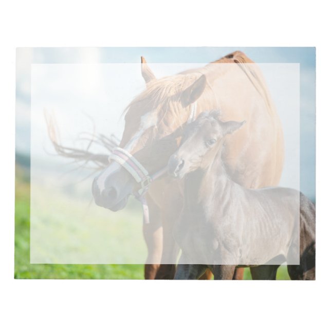 Cutest Baby Animals | Black Foal with Mum Notepad (Front)