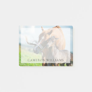 Cutest Baby Animals Black Foal with Mum Post-it Notes