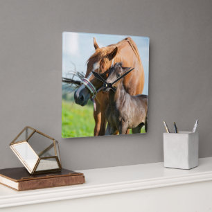 Cutest Baby Animals Black Foal with Mum Square Wall Clock