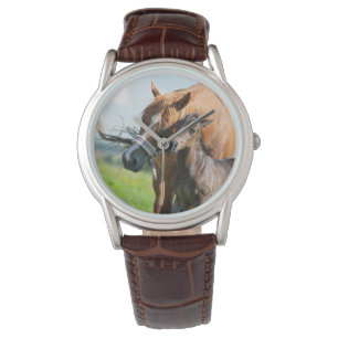 Cutest Baby Animals Black Foal with Mum Watch