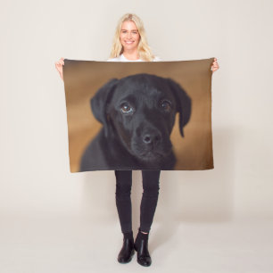 Cutest Baby Animals   Black Labrador Puppy Fleece Blanket