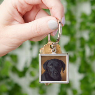 Cutest Baby Animals Black Labrador Puppy Key Ring