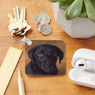 Cutest Baby Animals Black Labrador Puppy Key Ring