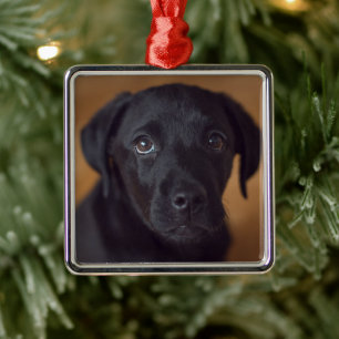 Cutest Baby Animals Black Labrador Puppy Metal Ornament
