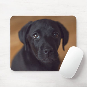 Cutest Baby Animals   Black Labrador Puppy Mouse Pad