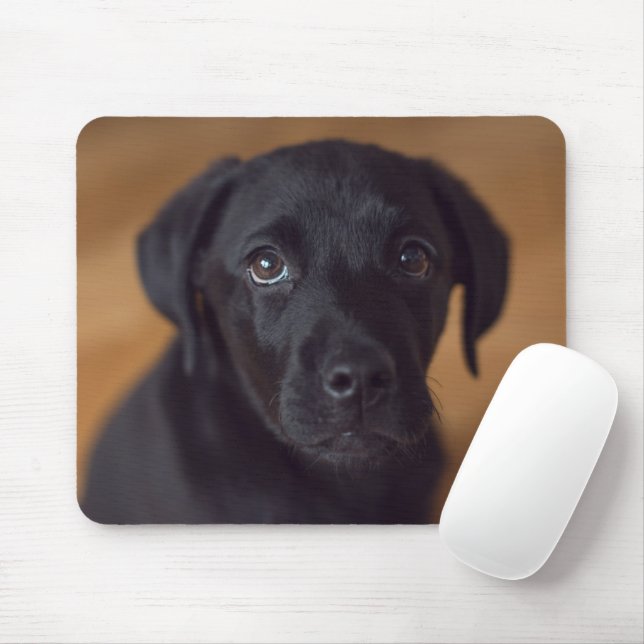 Cutest Baby Animals | Black Labrador Puppy Mouse Pad (With Mouse)