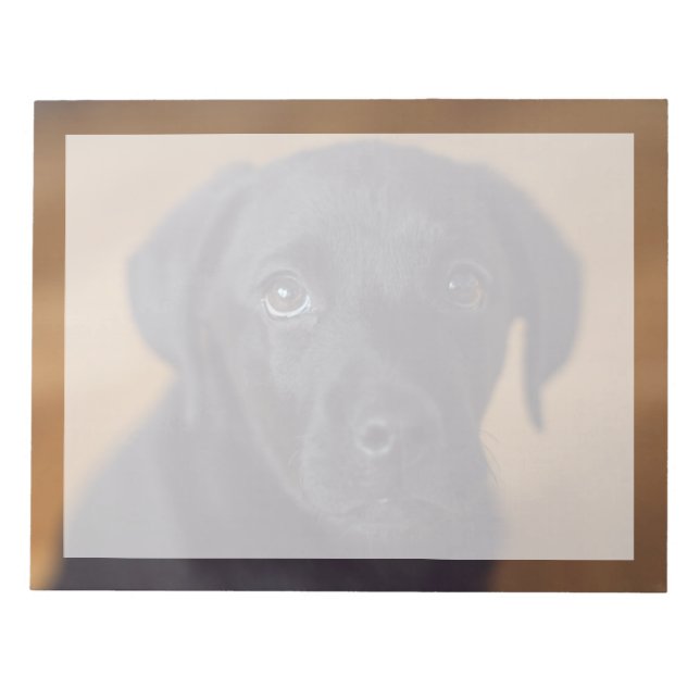 Cutest Baby Animals | Black Labrador Puppy Notepad (Front)