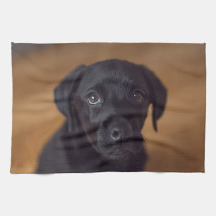 Cutest Baby Animals Black Labrador Puppy Tea Towel