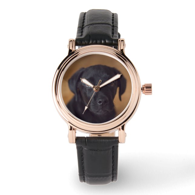 Cutest Baby Animals | Black Labrador Puppy Watch (Front)