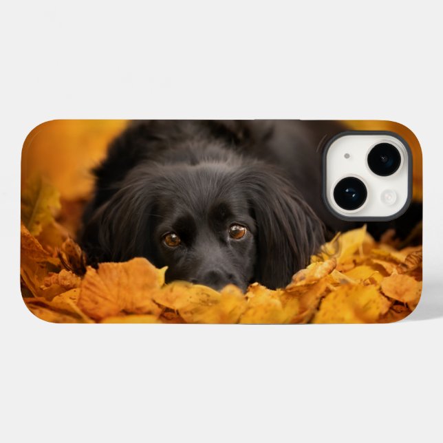 Cutest Baby Animals | Black Spaniel Puppy Case-Mate iPhone Case (Back (Horizontal))