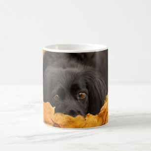 Cutest Baby Animals Black Spaniel Puppy Coffee Mug