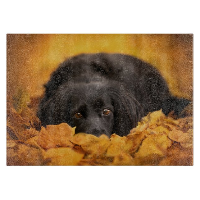 Cutest Baby Animals | Black Spaniel Puppy Cutting Board (Front)