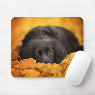 Cutest Baby Animals Black Spaniel Puppy Mouse Pad