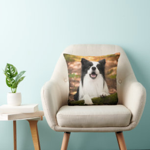 Cutest Baby Animals Black & White Border Collie Cushion