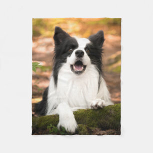 Cutest Baby Animals Black & White Border Collie Fleece Blanket