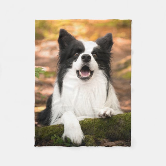 Cutest Baby Animals | Black & White Border Collie Fleece Blanket (Front)