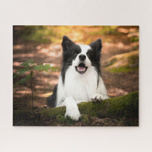 Cutest Baby Animals   Black & White Border Collie Jigsaw Puzzle
